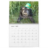 Bumblesnot 2014 Kalender (Mär 2027)