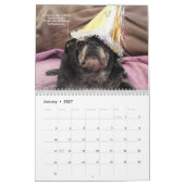 Bumblesnot 2014 Kalender (Jan 2027)
