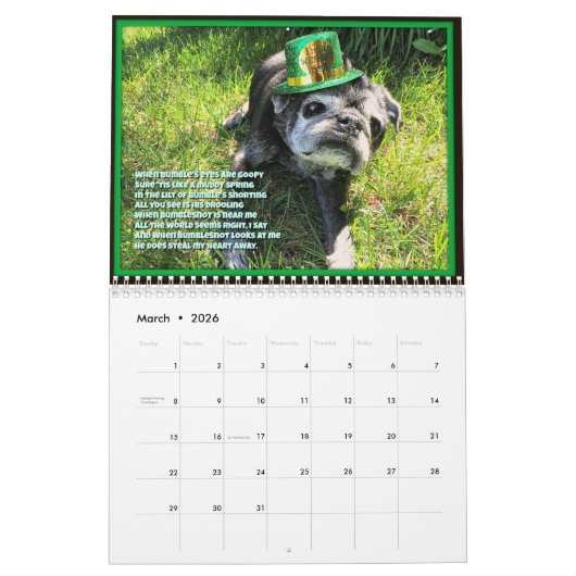 Bumblesnot 2017 Kalender (Mär 2026)