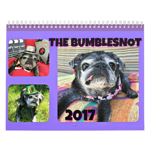 Bumblesnot 2017 Kalender (Titelbild)