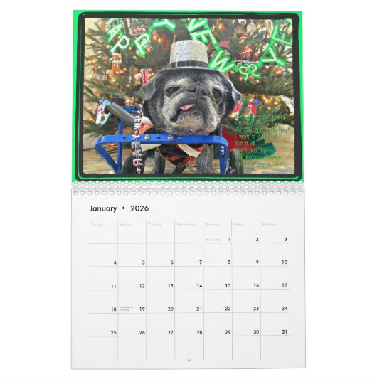 Bumblesnot 2017 Kalender (Jan 2026)