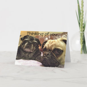 Bumblesnot Grußkarte: Denken an Sie Karte