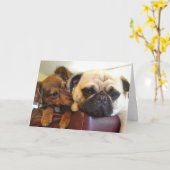 Bumblesnot Grußkarte: Ich bin hier, wenn Sie mich Karte (Gelbe Blume)