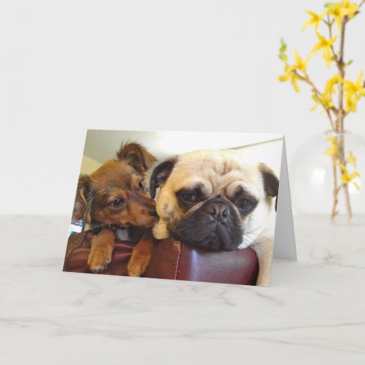 Bumblesnot Grußkarte: Ich bin hier, wenn Sie mich Karte (Gelbe Blume)