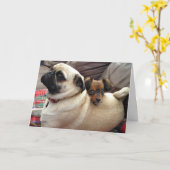 Bumblesnot Grußkarte: Ich habe Ihre Rückseite! Karte (Gelbe Blume)