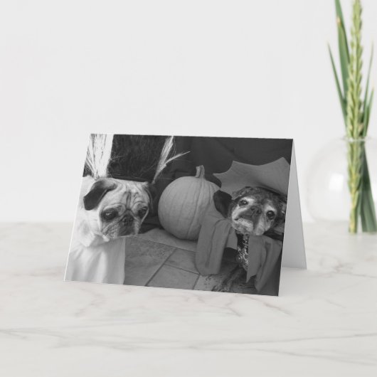 Bumblesnot Halloween Karte: Bann auf Ihnen Karte (Vorderseite)