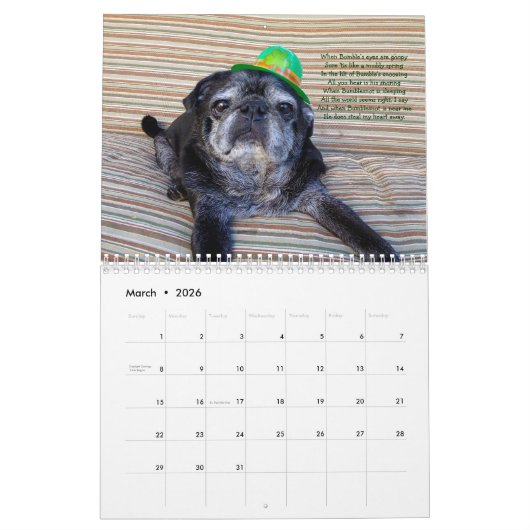 Bumblesnot Kalender 2015 (Mär 2026)