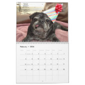 Bumblesnot Kalender 2015 (Feb 2026)