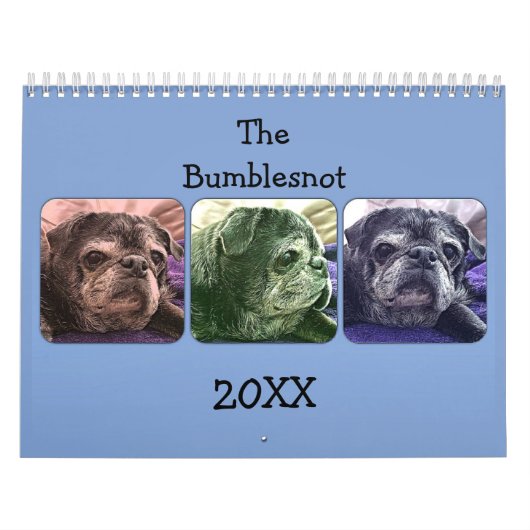 Bumblesnot Kalender 2015 (Titelbild)