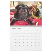 Bumblesnot Kalender 2015 (Jan 2026)