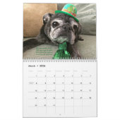 Bumblesnot Kalender 2016 (Mär 2026)