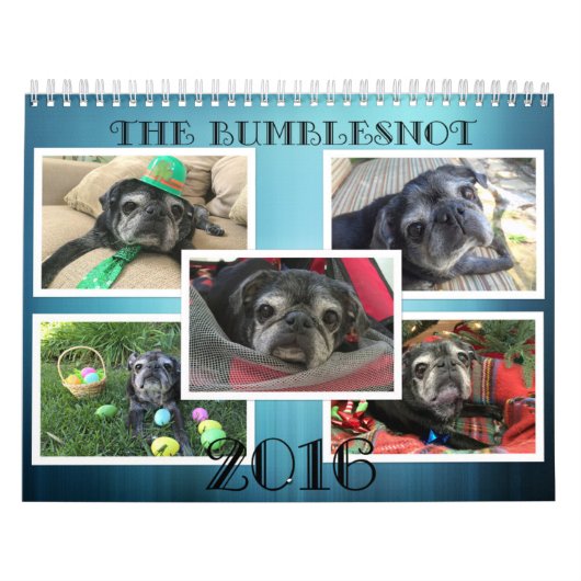 Bumblesnot Kalender 2016 (Titelbild)