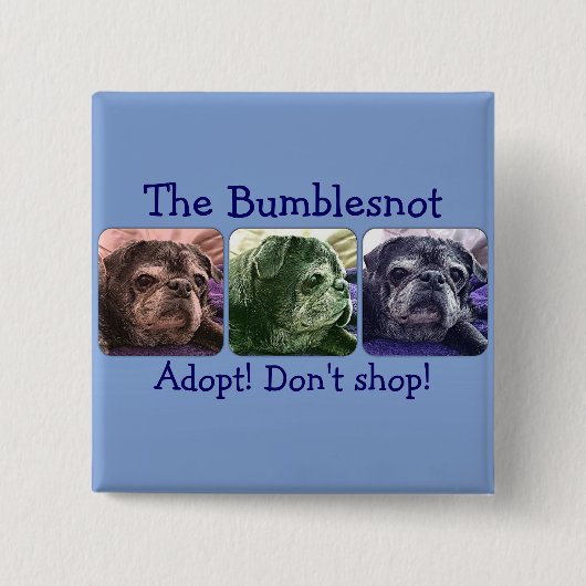 Bumblesnot Knopf: Färben Sie mich Hummel Button (Vorderseite)