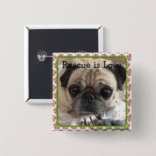 Bumblesnot Knopf: Itsy Mops/Rettung ist Liebe Button (Vorne & Hinten)