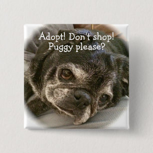 Bumblesnot Knopf: Puggy bitte? Button