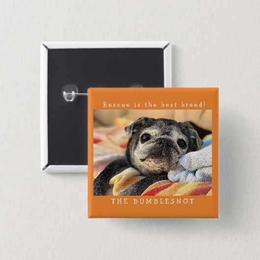 Bumblesnot Knopf: Rettung ist die beste Zucht! Button (Vorne & Hinten)