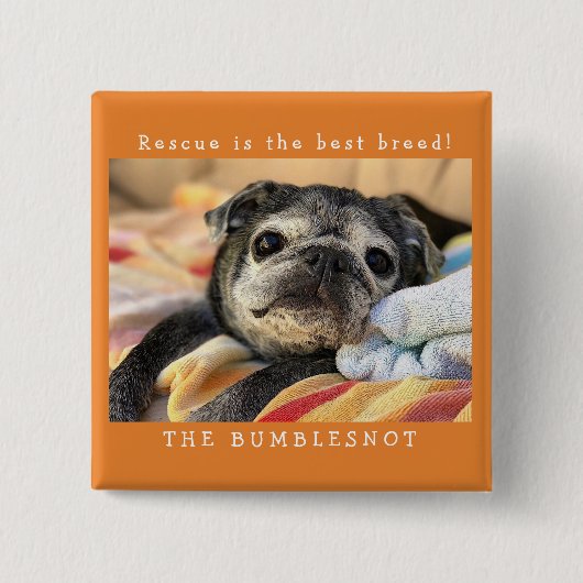 Bumblesnot Knopf: Rettung ist die beste Zucht! Button (Vorderseite)