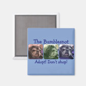 Bumblesnot-Magnet: Color Me-Hummel Magnet (Vorderseite/Rückseite)