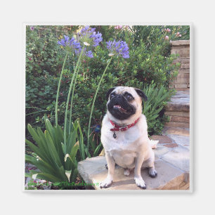 Bumblesnot Magnet: Das Kind draußen Magnet