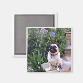 Bumblesnot-Magnet: Das Kind im Freien Magnet (Vorderseite/Rückseite)
