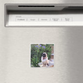 Bumblesnot-Magnet: Das Kind im Freien Magnet (In Situ (Geschirrspüler))