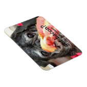 Bumblesnot Magnet: got Speck? Magnet (Rechte Seite)