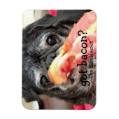 Bumblesnot Magnet: got Speck? Magnet (Vertikal)