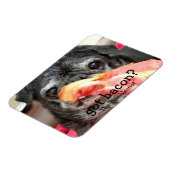 Bumblesnot Magnet: got Speck? Magnet (Linke Seite)