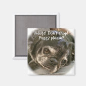 Bumblesnot Magnet: Puggy Bitte? Magnet (Vorderseite/Rückseite)