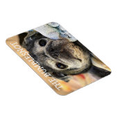 Bumblesnot-Magnet: Schnurrung Magnet (Rechte Seite)