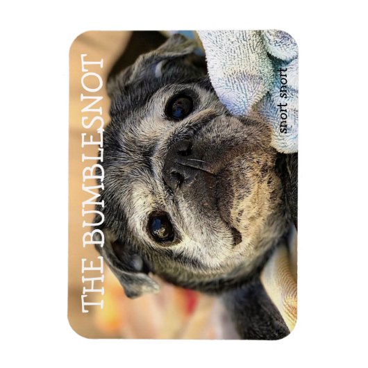 Bumblesnot-Magnet: Schnurrung Magnet (Vertikal)