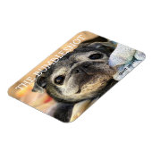 Bumblesnot-Magnet: Schnurrung Magnet (Linke Seite)