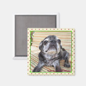 Bumblesnot-Magnet: Sitzen Puggy Magnet (Vorderseite/Rückseite)