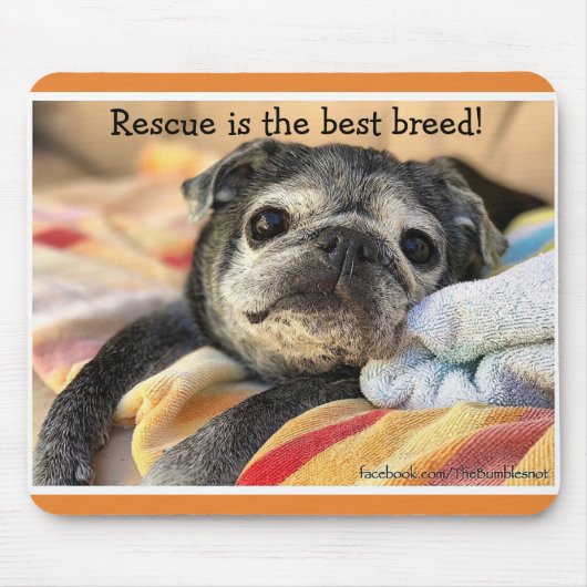 Bumblesnot mousepad: Rettung ist die beste Zucht! Mousepad (Vorne)