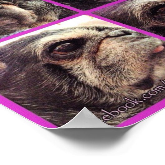 Bumblesnot Poster: Schattierungen der Hummel Poster (Ecke)