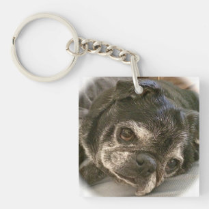 Bumblesnot Schlüsselanhänger: Puggy bitte? Schlüsselanhänger