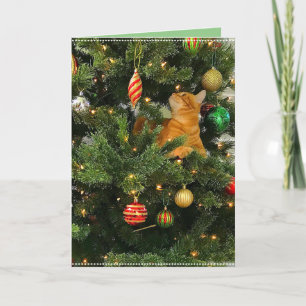 Bumblesnot: Weihnachtskarte "The Orange Kitty" Karte
