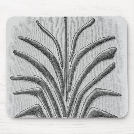 Bumerang und geformte Vereine des Bumerangs Mousepad (Vorne)