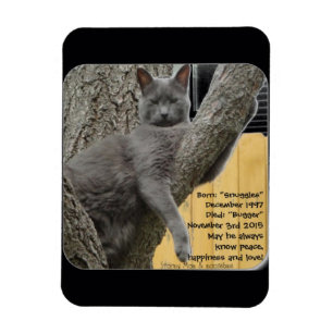 Bummeln Sie Baby 1997 bis 2015 Magnet