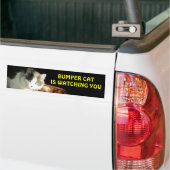 Bumper Cat beobachtet 2 Autoaufkleber (Auf Lkw)