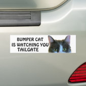 Bumper Cat beobachtet Meme TAILGATE 28 Autoaufkleber (Auf Auto)