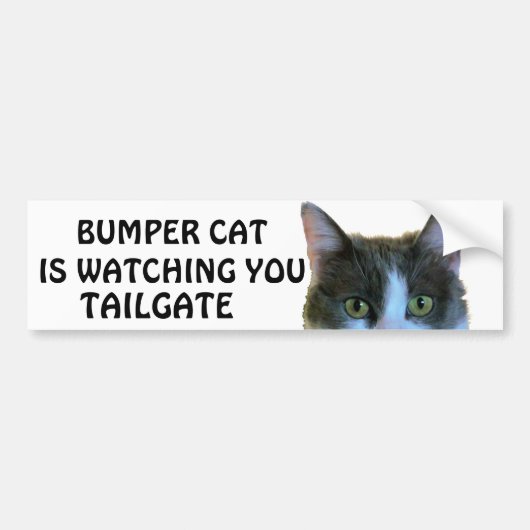 Bumper Cat beobachtet Meme TAILGATE 28 Autoaufkleber (Vorne)