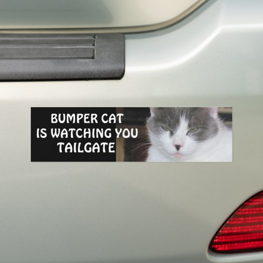 Bumper Cat beobachtet TAILGATE 18 Autoaufkleber (Auf Auto)