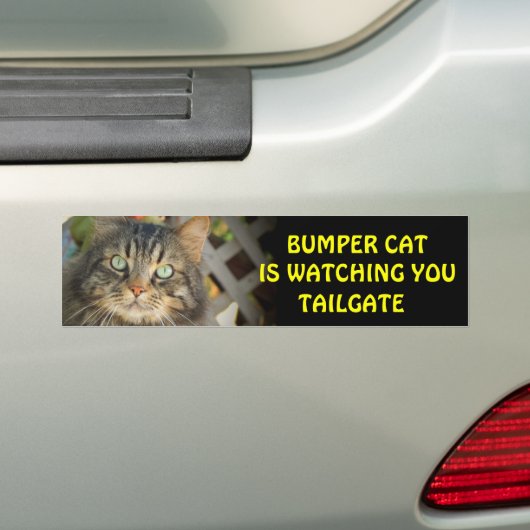 Bumper Cat beobachtet TAILGATE 20 Autoaufkleber (Auf Auto)