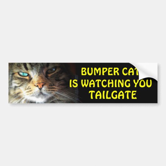 Bumper Cat beobachtet TAILGATE 2,5 Autoaufkleber (Vorne)