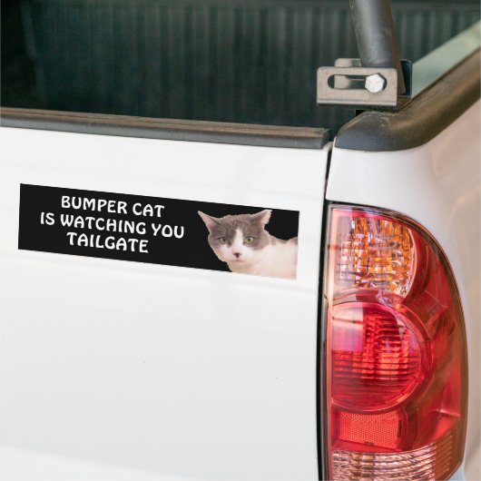 Bumper Cat beobachtet TAILGATE 33 Autoaufkleber (Auf Lkw)