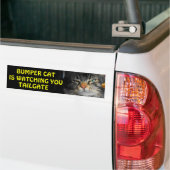 Bumper Cat beobachtet TAILGATE 34 Autoaufkleber (Auf Lkw)