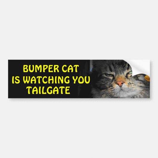 Bumper Cat beobachtet TAILGATE 34 Autoaufkleber (Vorne)
