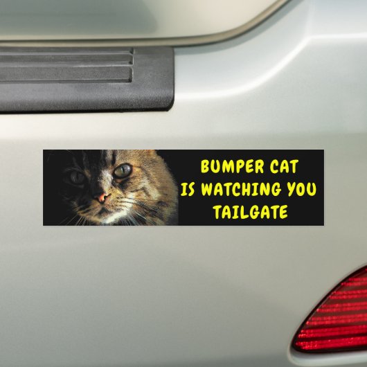 Bumper Cat beobachtet TAILGATE 43 Autoaufkleber (Auf Auto)