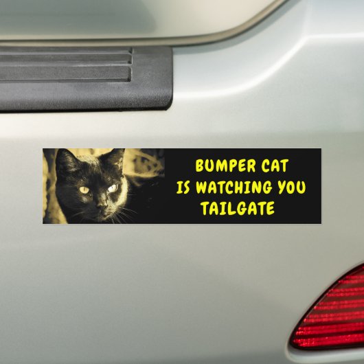 Bumper Cat beobachtet TAILGATE 44 Autoaufkleber (Auf Auto)